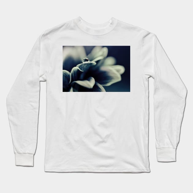 Daisy Blue - for Ingrid on her birthday! Long Sleeve T-Shirt by micklyn